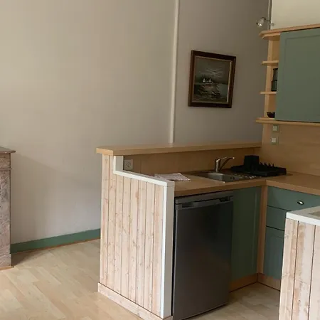 Apartment L'appart Sur Jardin 42m2 Tres Calme *